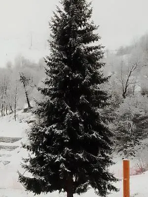 Artesina Apartamento Artesina